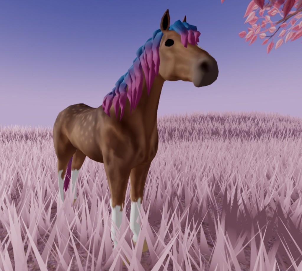 Wild Horse Islands 🌸 Nd Rare Coat Morgan 🌸